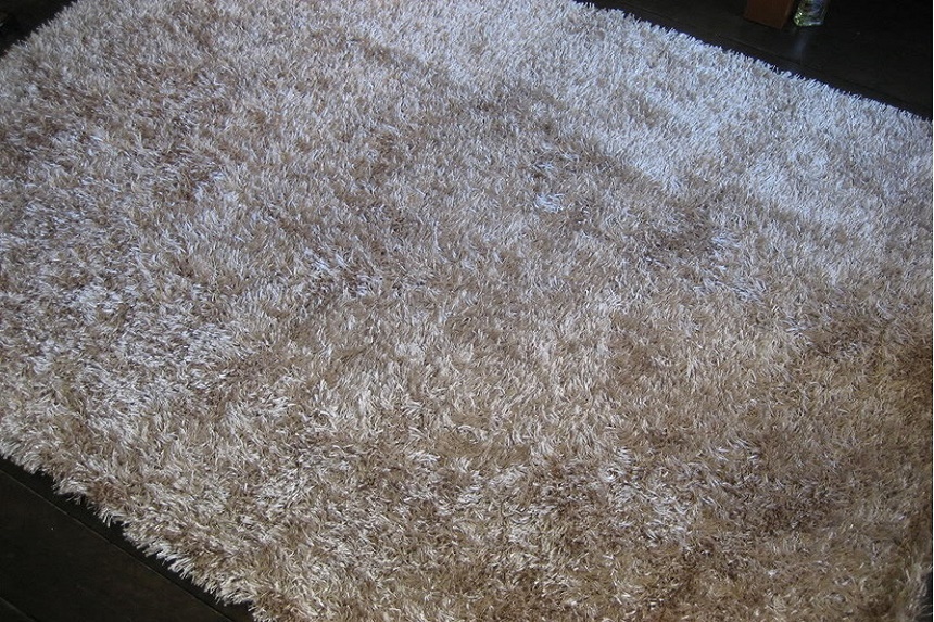 3-buoc-giat-tham-len-phong-khach-chuan-nhat thảm len phòng khách