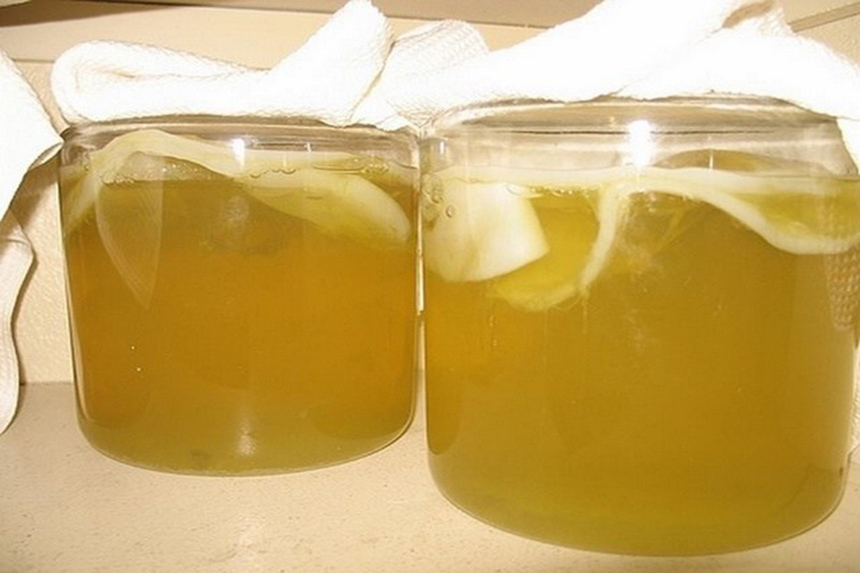 cach-lam-sach-ghe-sofa-bi-moc-nhanh-chong-2 làm sạch ghế sofa da bị mốc