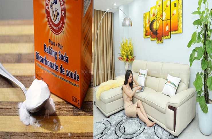 cach-lam-sach-ghe-sofa-bi-moc-nhanh-chong làm sạch ghế sofa da bị mốc