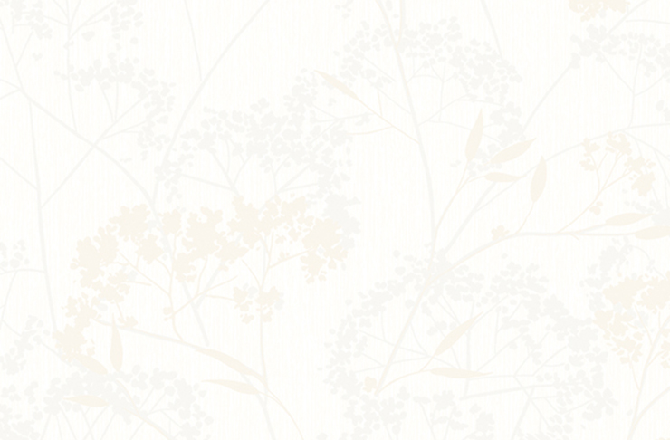 Giấy dán tường Hàn Quốc cao cấp mới