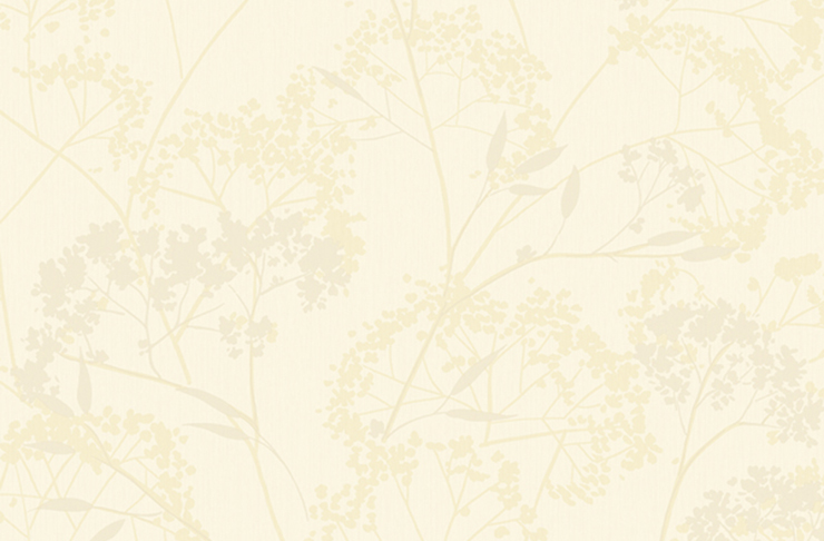 mẫu giấy dán tường hàn quốc đẹp