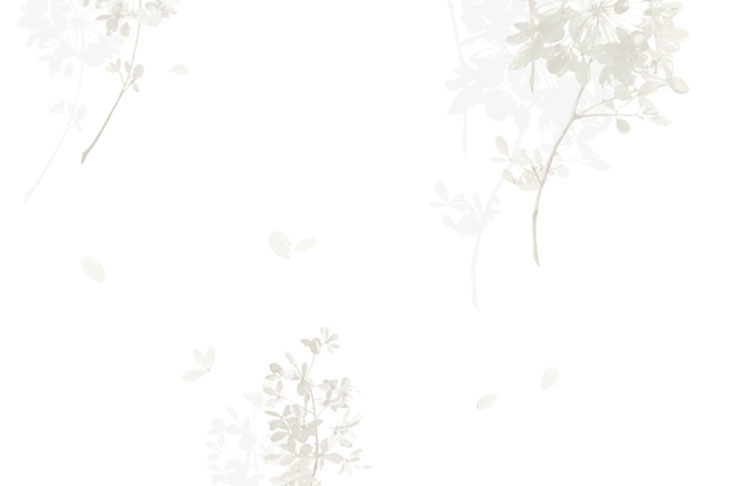 Mẫu giấy dán tường mã 8205-1 tông mày trắng làm chủ đạo