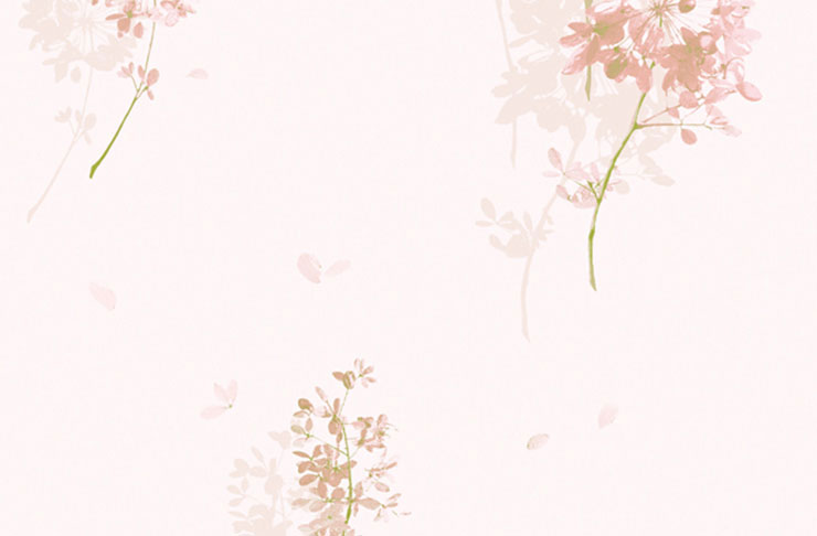 Mẫu giấy dán tường đẹp mã 8205 với tone nền hồng thanh thoát